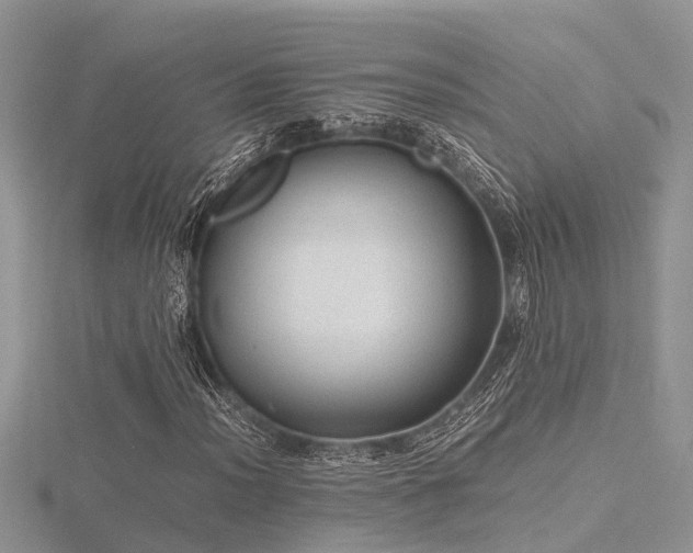 X0000116461012200912091244