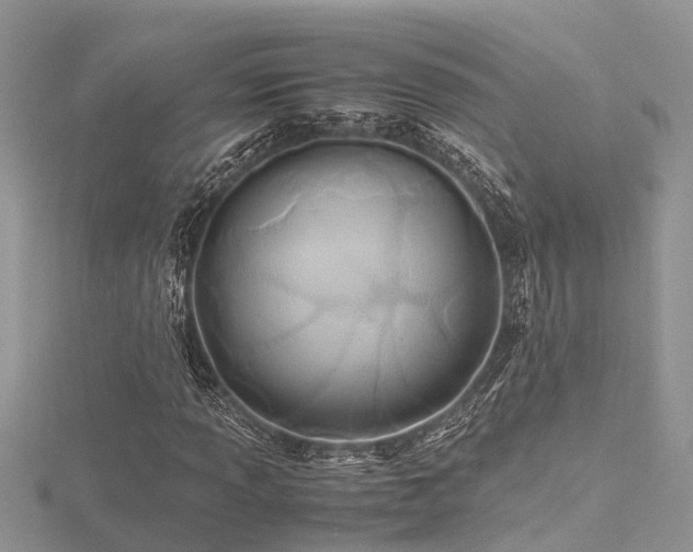 X0000116461013200912091244
