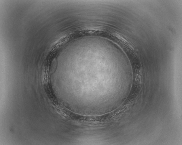 X0000116461014200912091244