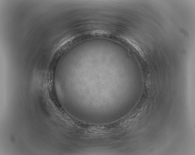 X0000116461015200912091244
