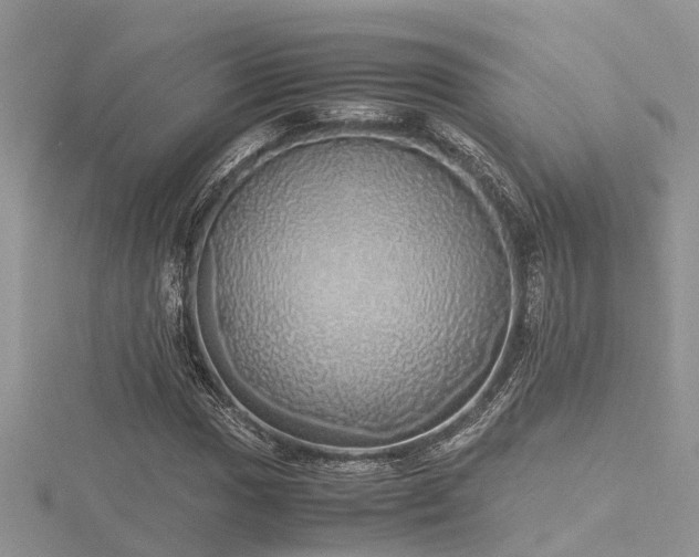 X0000116461017200912091244