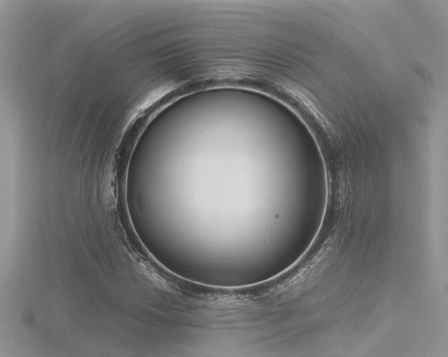 X0000116461018200912091244