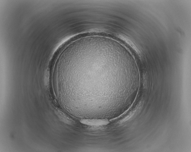 X0000116461021200912091244