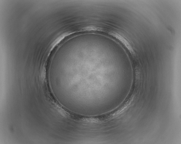 X0000116461023200912091244