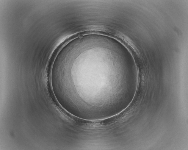 X0000116461024200912091244