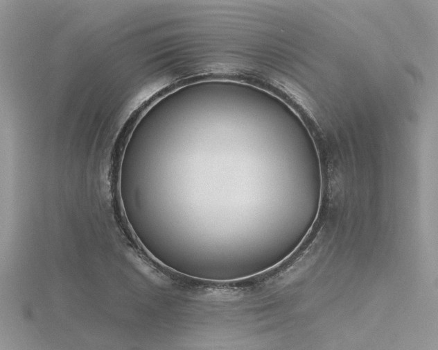 X0000116461026200912091244