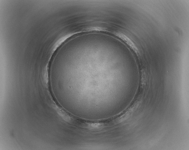 X0000116461031200912091244