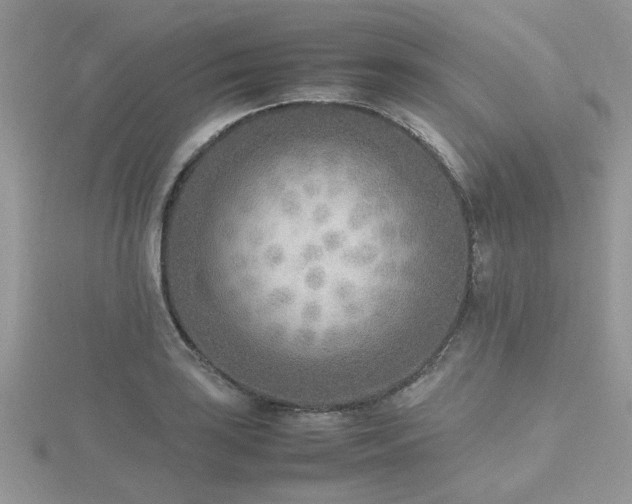 X0000116461035200912091244