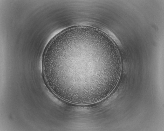 X0000116461036200912091244