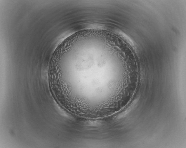 X0000116461041200912091244