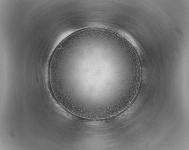 X0000116461048200912091244