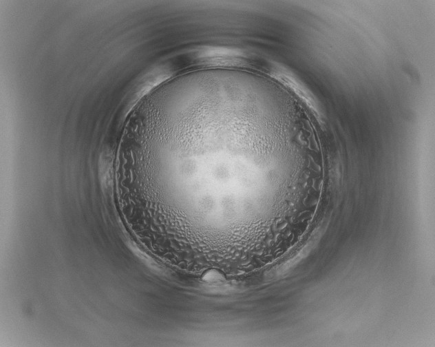 X0000116461049200912091244