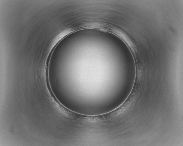 X0000116461050200912091244