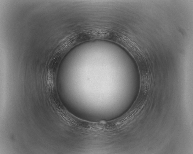 X0000116461058200912091244
