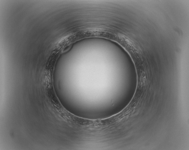 X0000116461062200912091244
