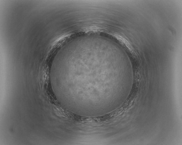 X0000116461063200912091244