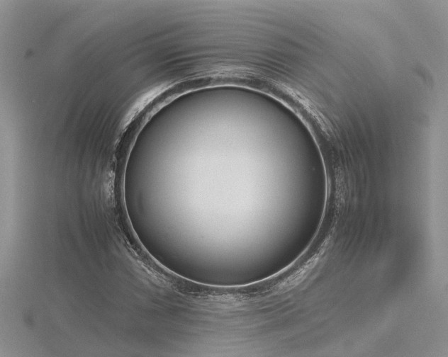 X0000116461066200912091244