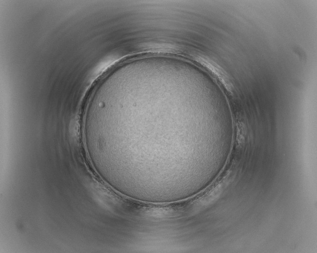 X0000116461074200912091243
