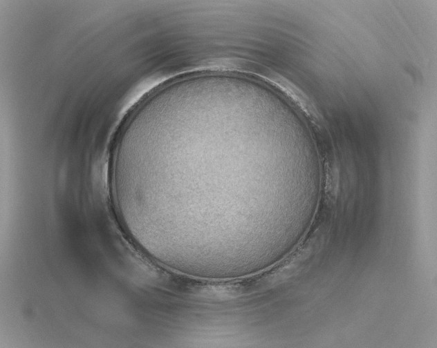 X0000116461078200912091243