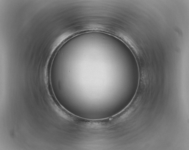 X0000116461082200912091243