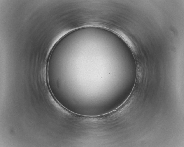 X0000116461100200912091243