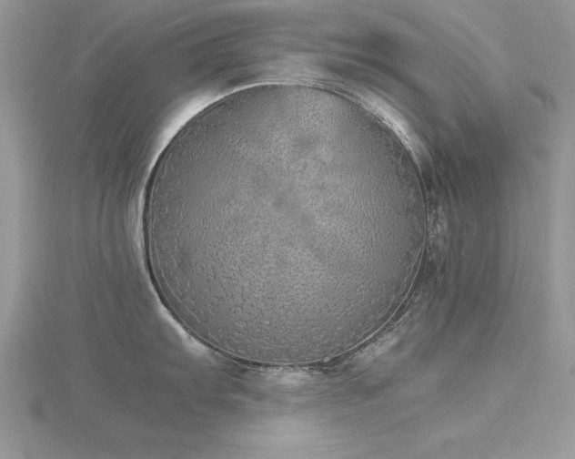 X0000116461103200912091243