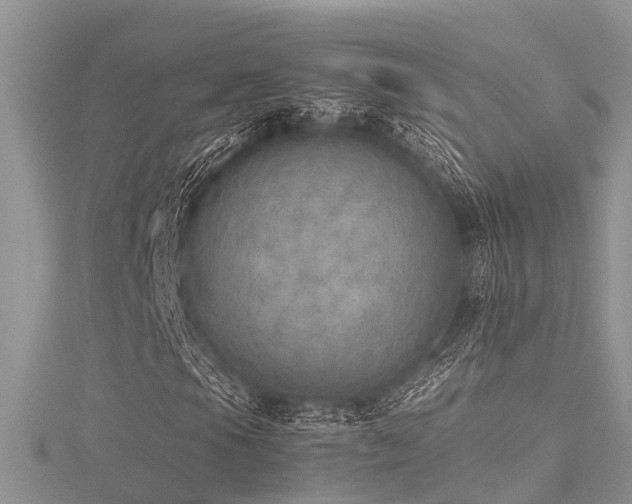 X0000116461105200912091242