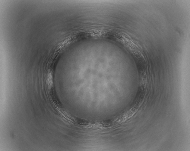 X0000116461106200912091242