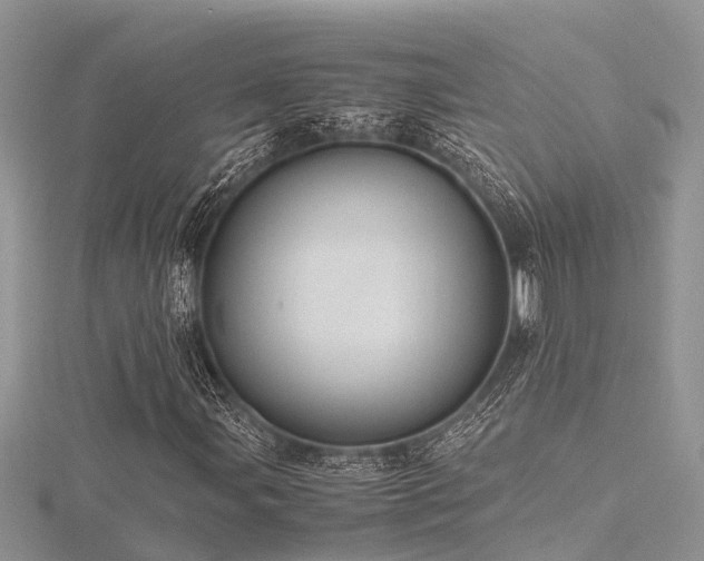 X0000116461107200912091242