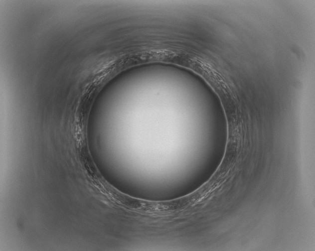 X0000116461109200912091243