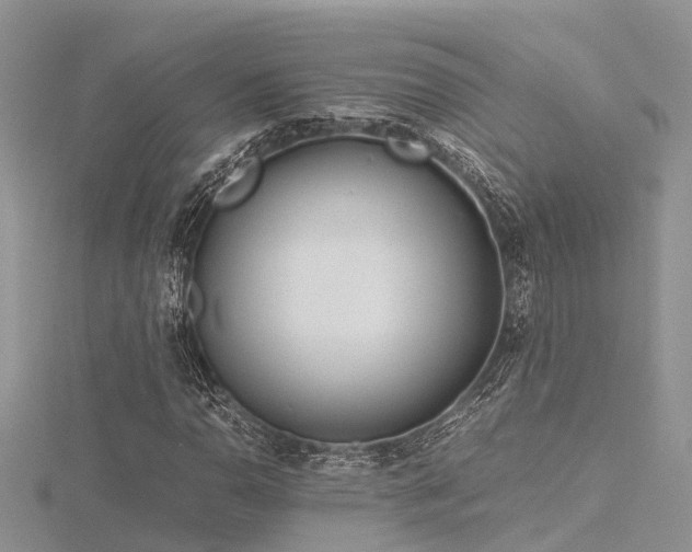 X0000116461110200912091243