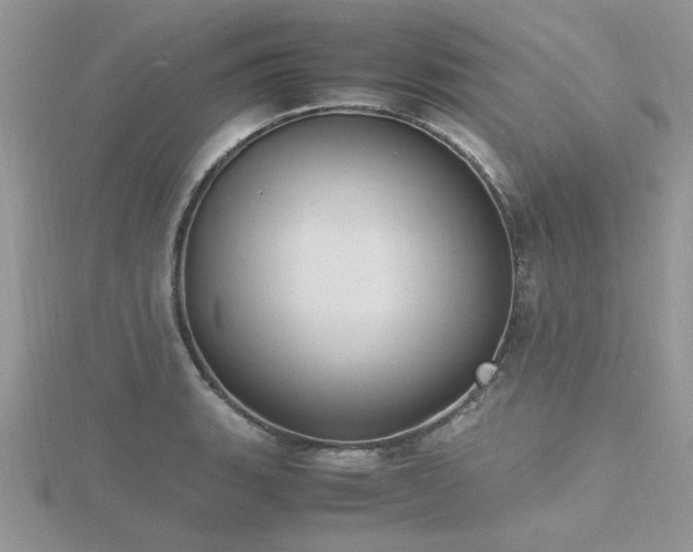 X0000116461135200912091243