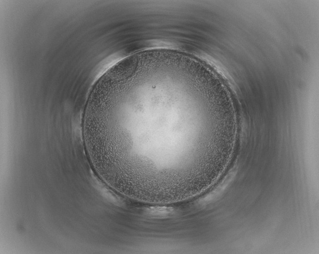 X0000116461137200912091243