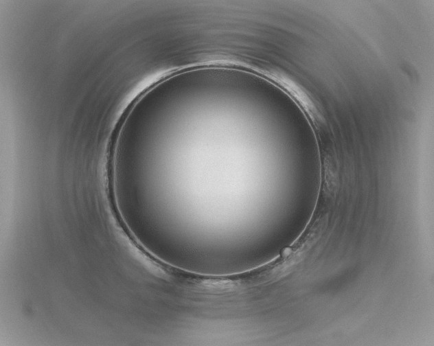 X0000116461142200912091243