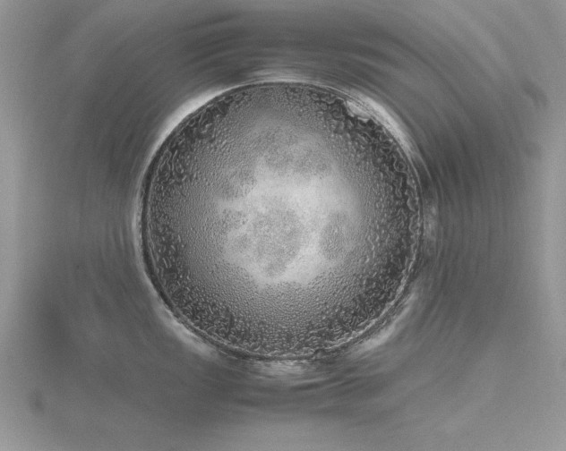 X0000116461149200912091243