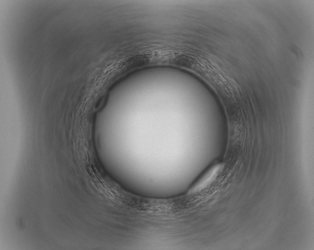 X0000116461153200912091242