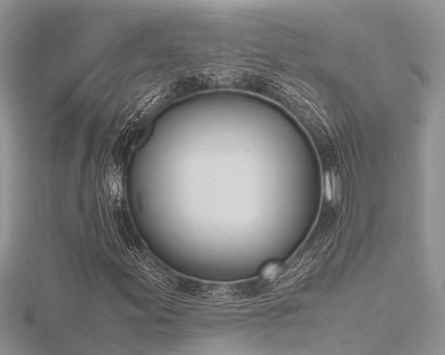 X0000116461155200912091242