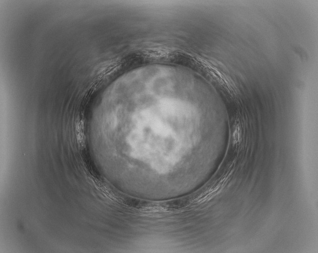 X0000116461156200912091242