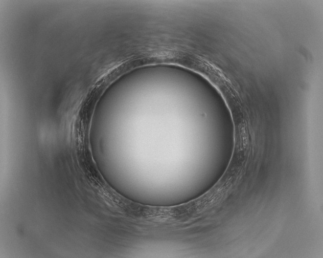 X0000116461158200912091242