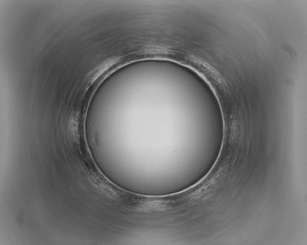 X0000116461162200912091242