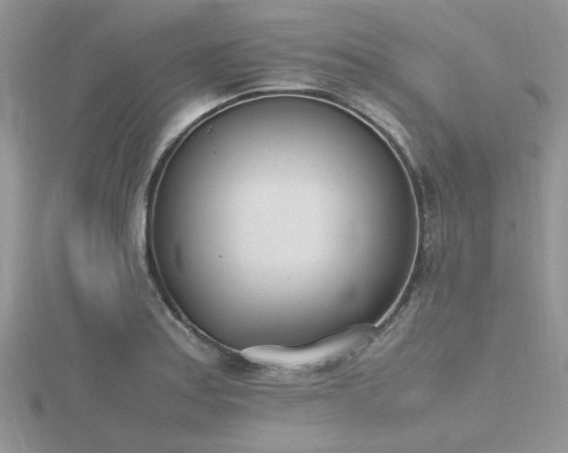 X0000116461179200912091242