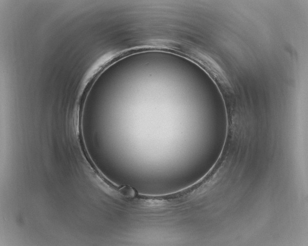 X0000116461180200912091242