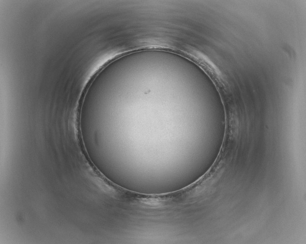 X0000116461182200912091242