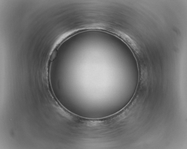 X0000116461184200912091242
