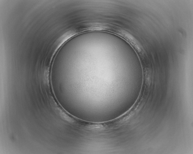 X0000116461186200912091242
