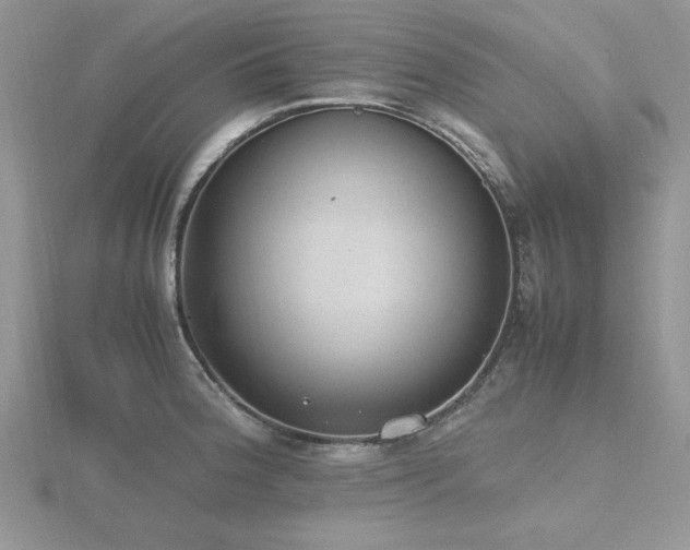 X0000116461188200912091242