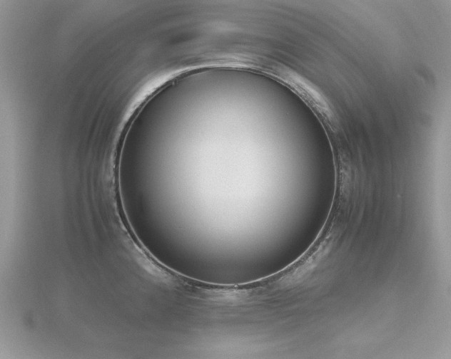 X0000116461192200912091242