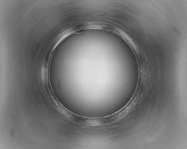X0000116461194200912091242