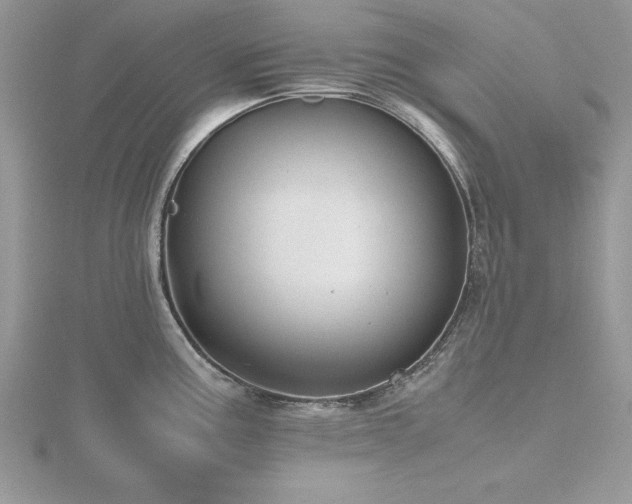 X0000116461195200912091242
