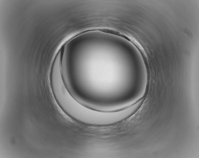 X0000116461197200912091242